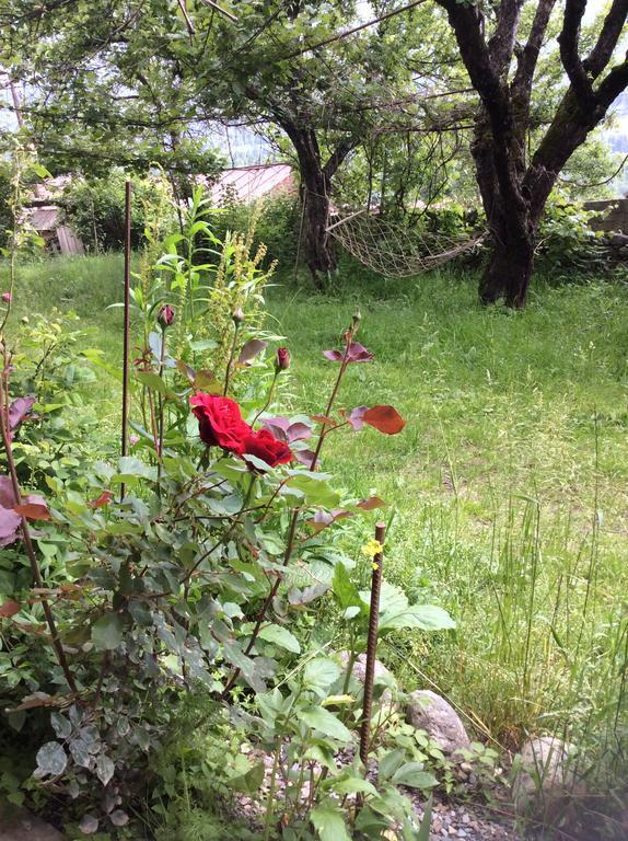 Guest House Chuta In Lagami เมสเตีย ภายนอก รูปภาพ